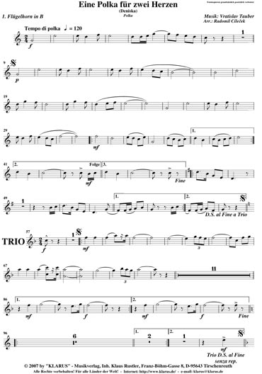 Polka-zwei-Herzen-Flgh-1