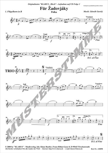 220098_FZ_K_Flgh1_Muster