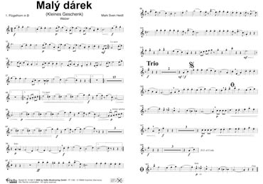 Maly-Darek-Flg1